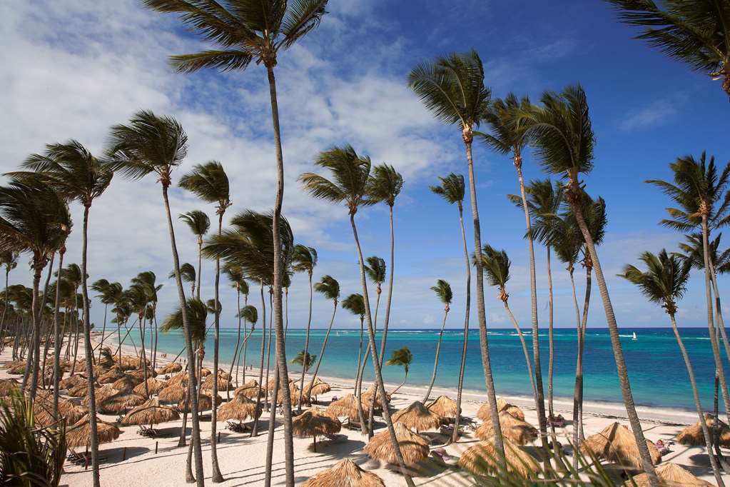 Royal Service At Paradisus Palma Real (Adults Only) Punta Cana Natur bild